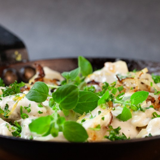 Pelmeni Shannon Campbell 2b